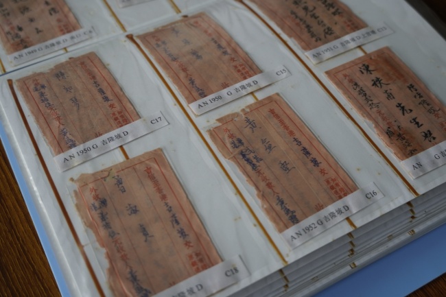 海外游子的“乡愁印记”迎来“云保护”