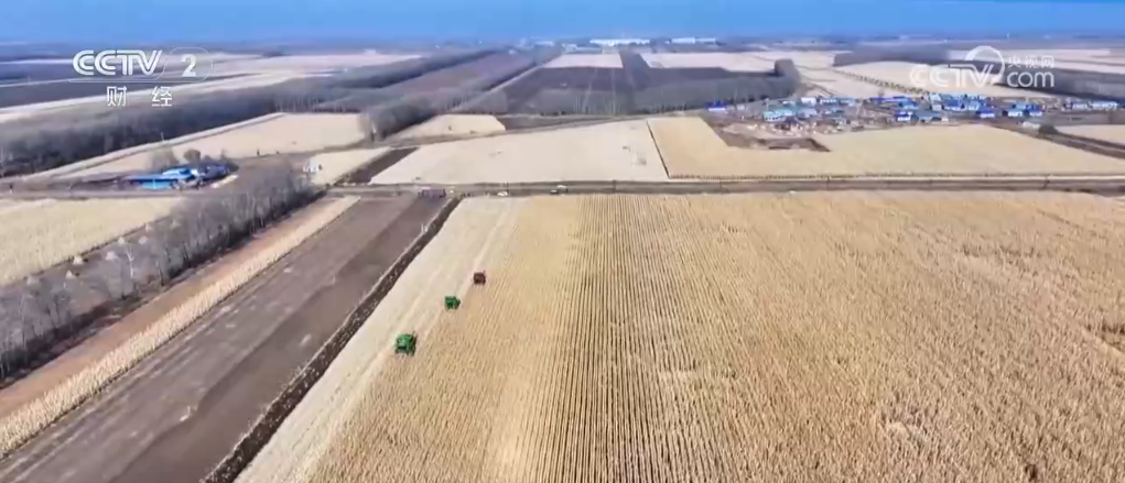 产业兴旺促增收 希望的田野上唱响“丰收民