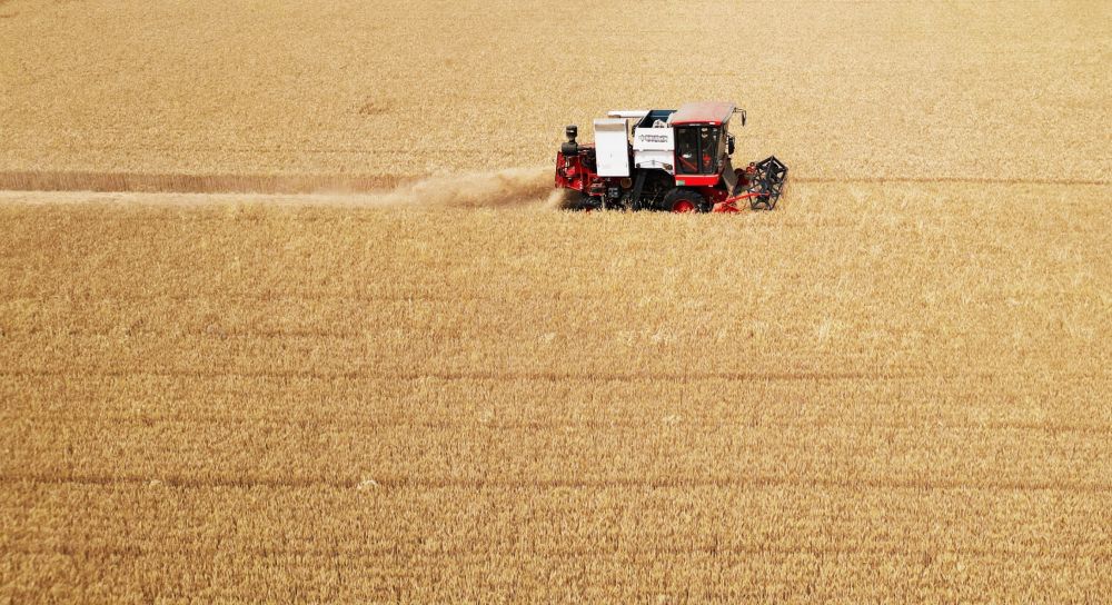 “三夏”生产一线观察｜田间好“丰”景 夏