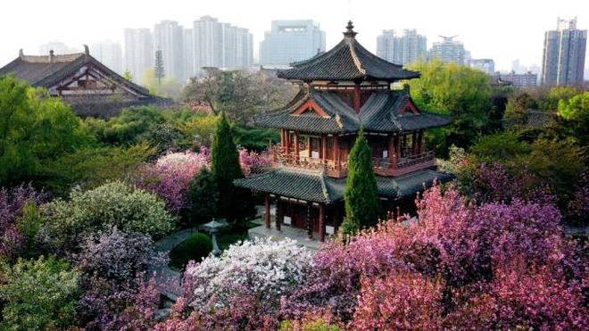 【金泰唐樾】 —高绿化率 —在售楼栋—容